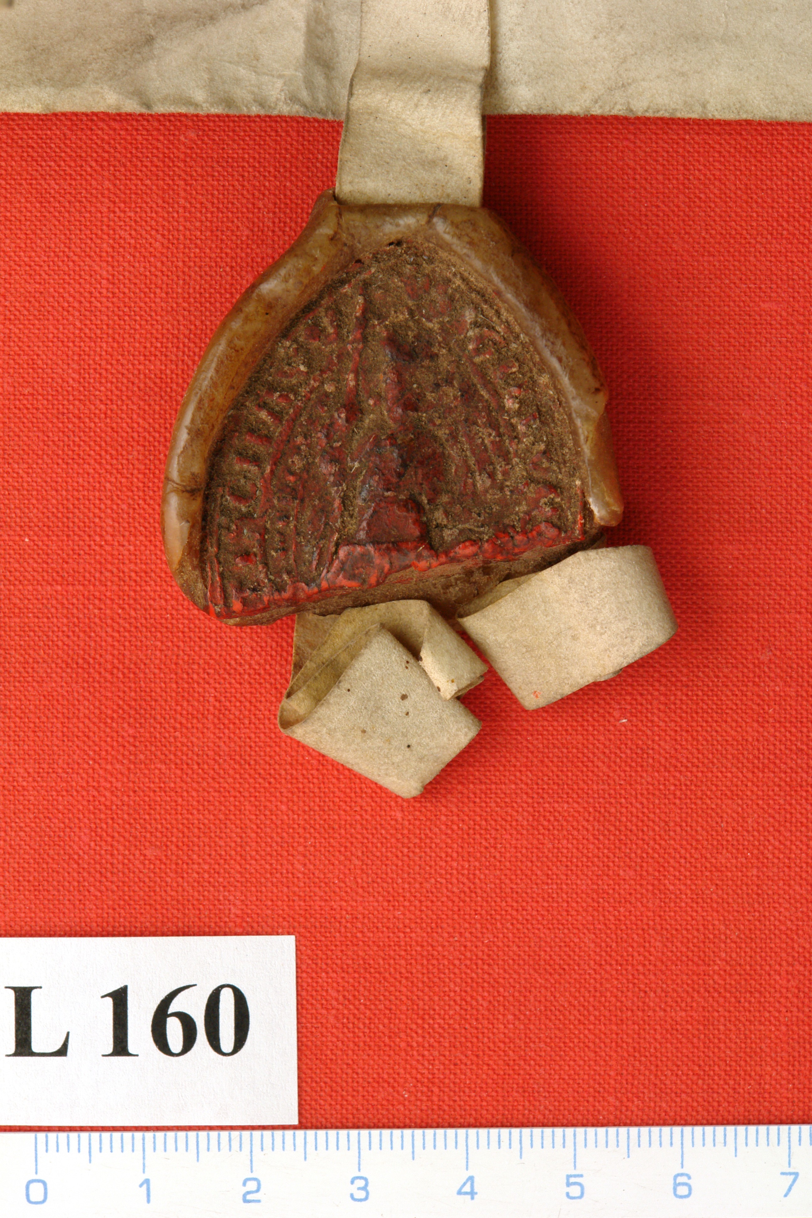 SOAP_129_Pkl_Tepla_L160_PA5.jpg