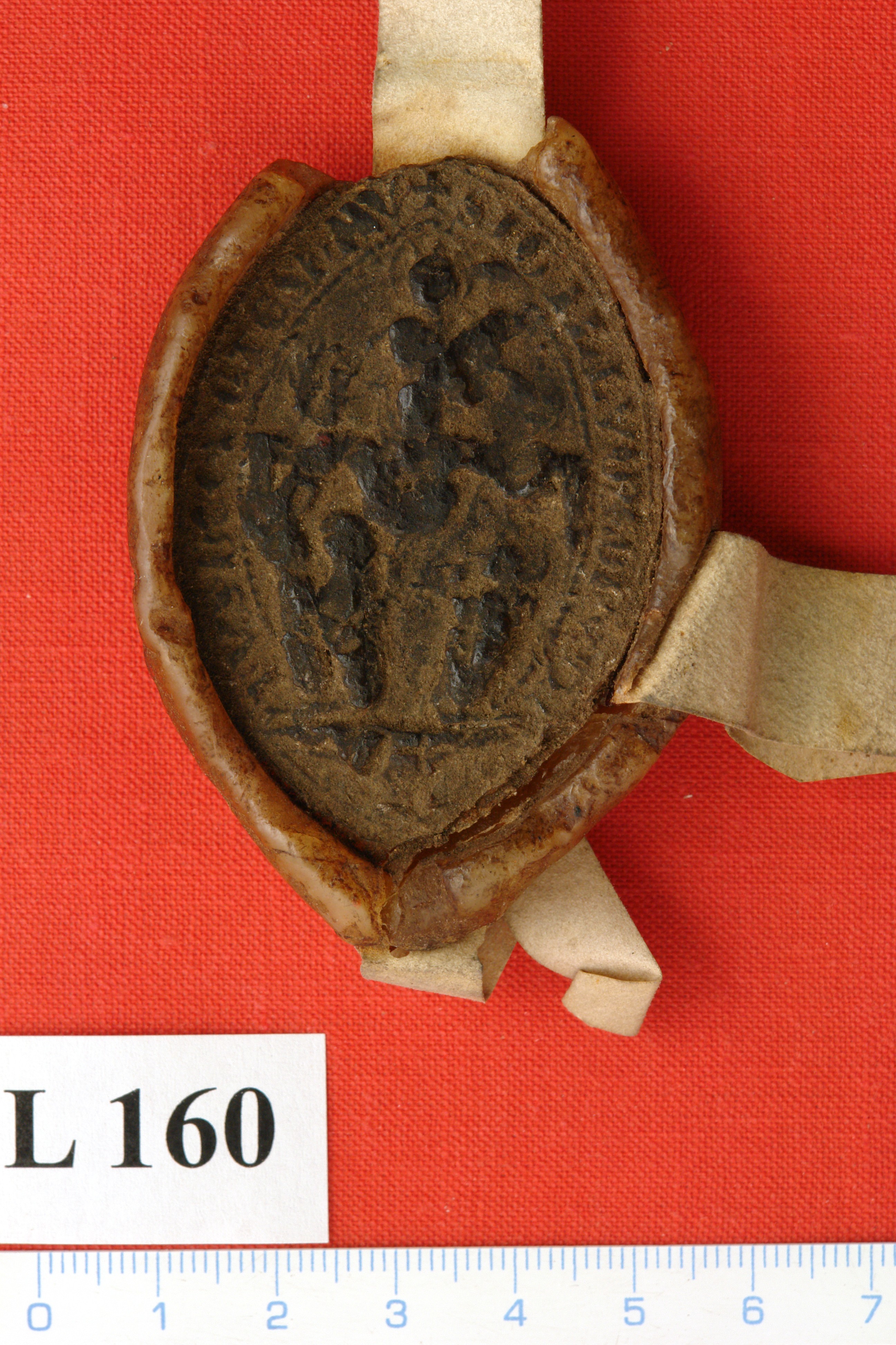 SOAP_129_Pkl_Tepla_L160_PA6.jpg