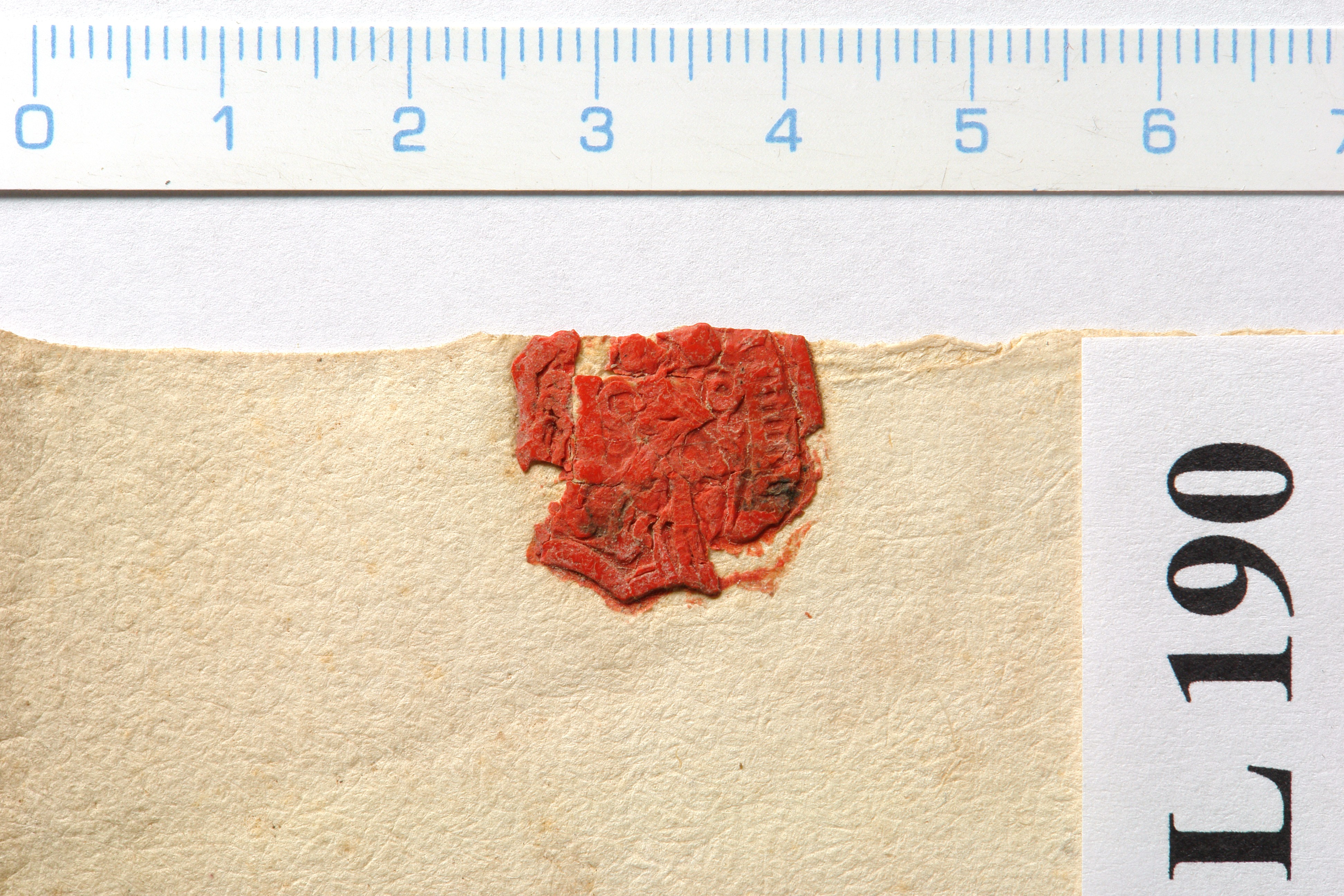 SOAP_129_Pkl_Tepla_L190_PA.jpg
